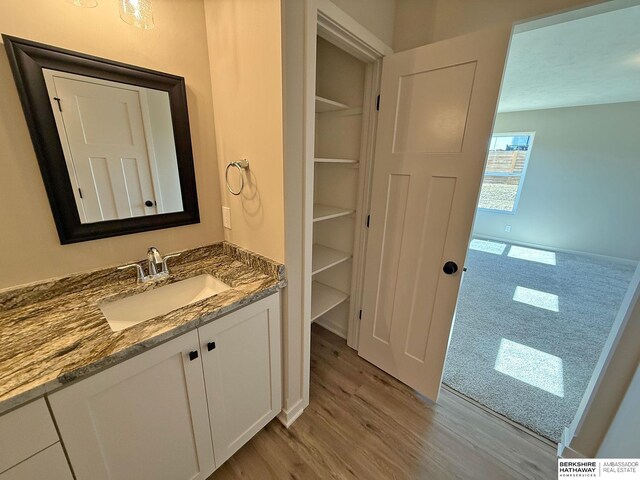 bathroom with vanity and wood finished floors