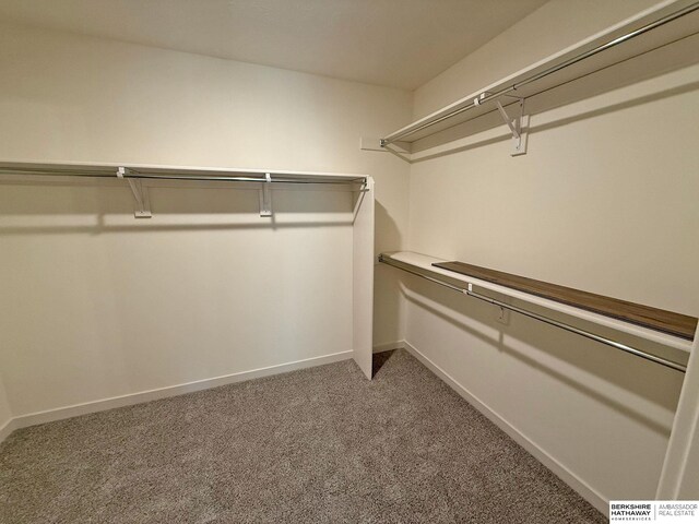 walk in closet with carpet floors