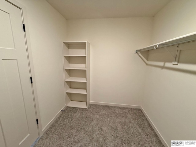 walk in closet with carpet floors