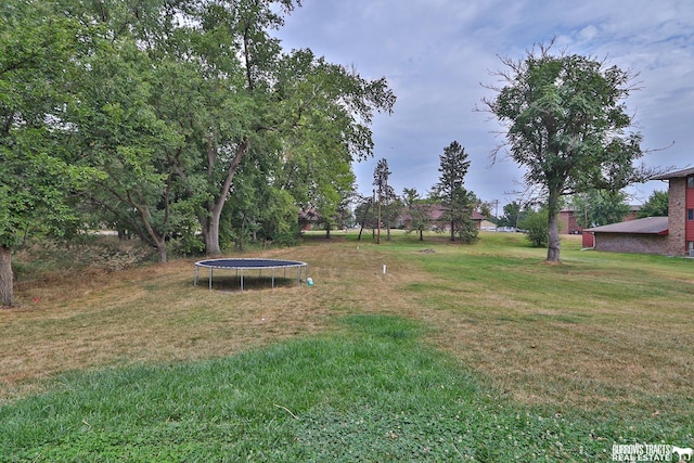 view of yard with a trampoline