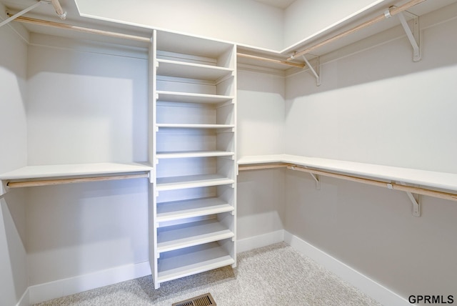 spacious closet with carpet flooring