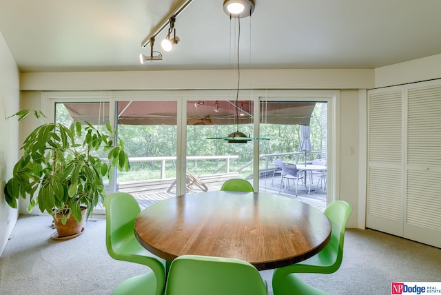 dining space featuring carpet, a healthy amount of sunlight, and rail lighting