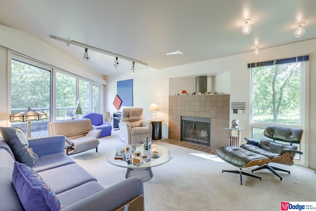 living room featuring a fireplace, carpet floors, and rail lighting