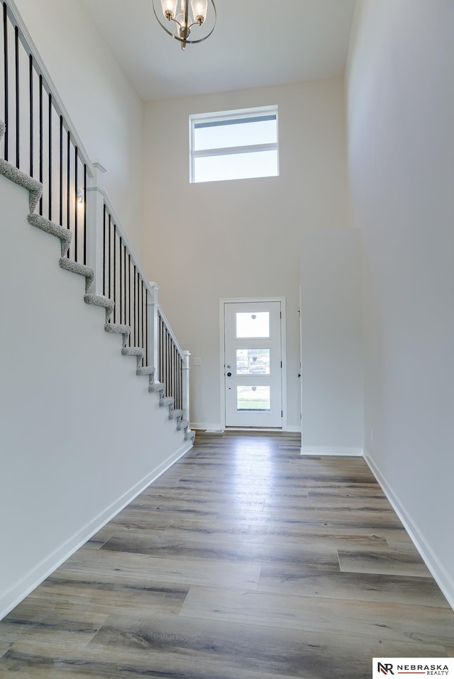 foyer entrance with wood-type flooring, a high ceiling, and a wealth of natural light