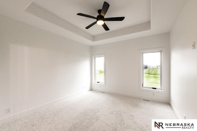 unfurnished room featuring a tray ceiling, carpet flooring, a wealth of natural light, and baseboards