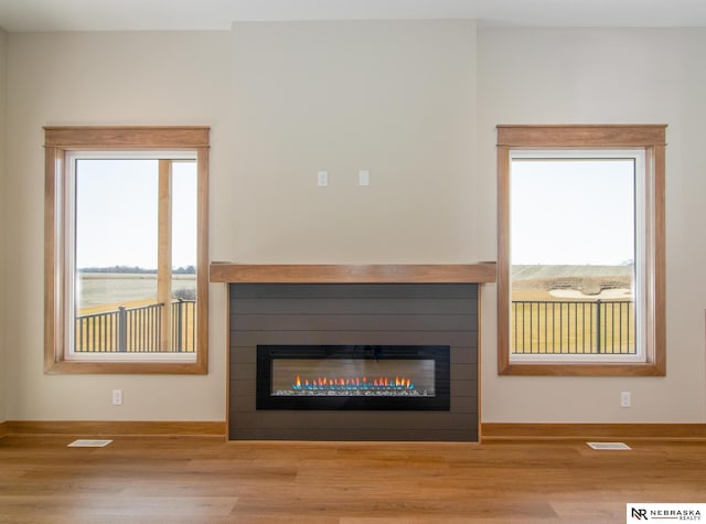 325 S Lakeview Way, Ashland, NE 68003 - detailed view of wood finished floors and a glass covered fireplace
