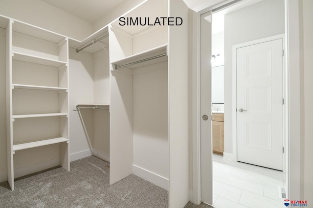 spacious closet with light colored carpet