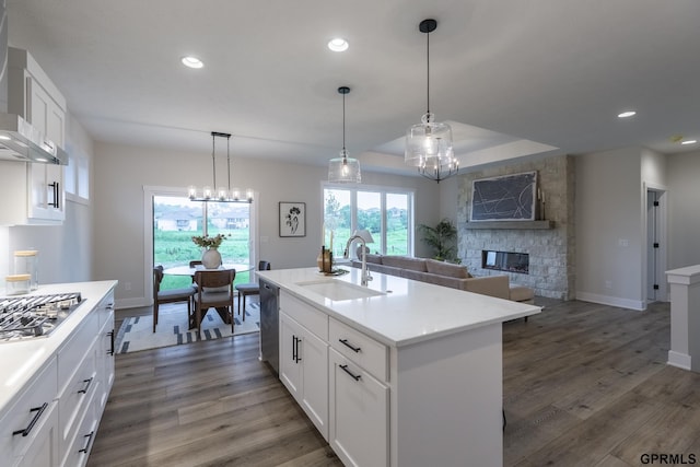 kitchen with a chandelier, appliances with stainless steel finishes, wood finished floors, and a sink