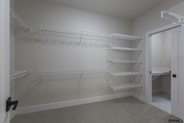 spacious closet with carpet