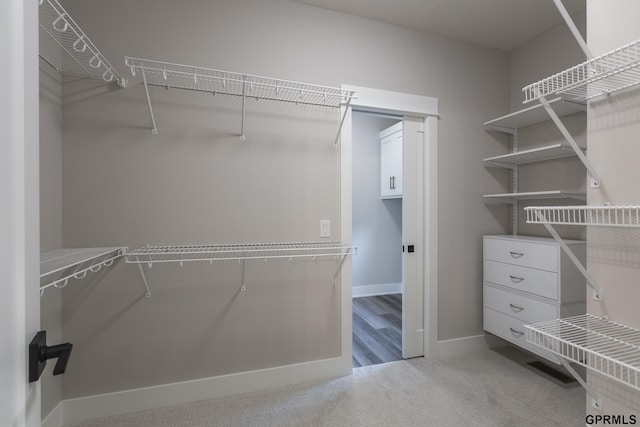 walk in closet featuring carpet floors