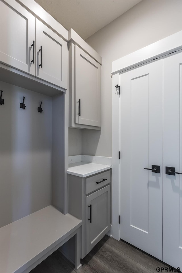 mudroom with dark wood finished floors