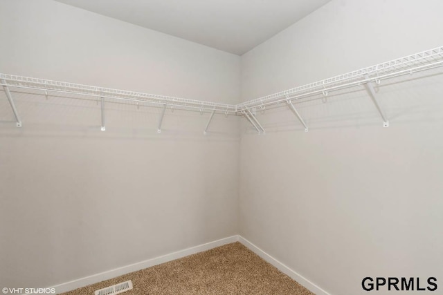 walk in closet featuring carpet flooring