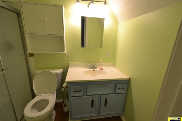 bathroom featuring vanity, toilet, and wood-type flooring