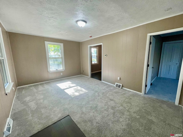 interior space with multiple windows, wooden walls, carpet, and a textured ceiling