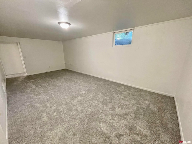 basement with carpet floors