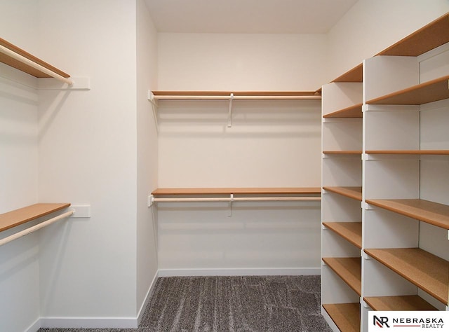 spacious closet with dark colored carpet