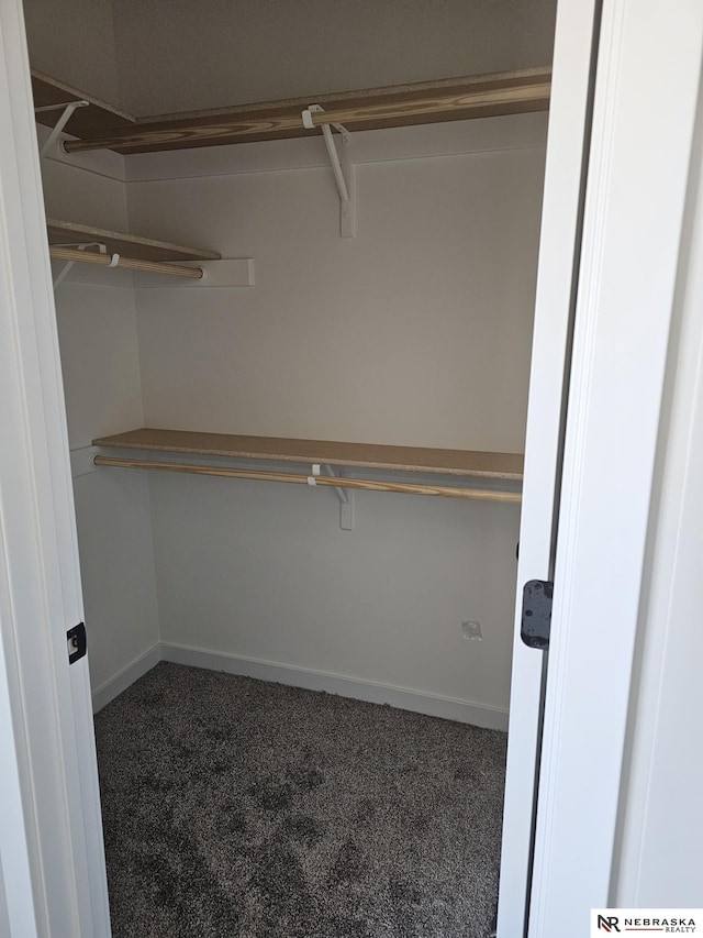 walk in closet with dark colored carpet