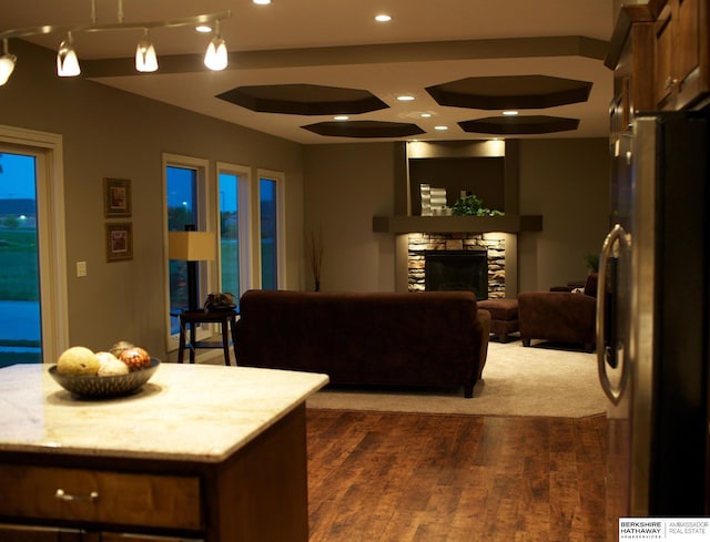 living room with a fireplace and dark hardwood / wood-style flooring