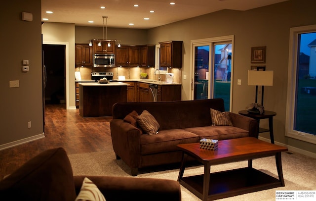 living room featuring dark wood-type flooring and sink