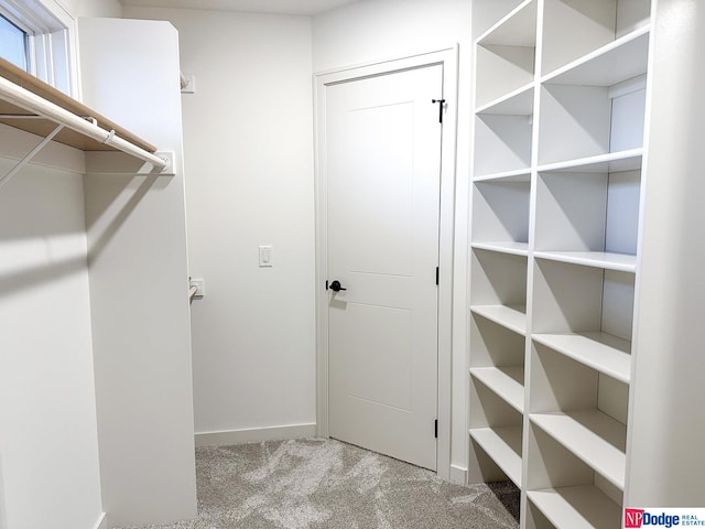 walk in closet with light colored carpet