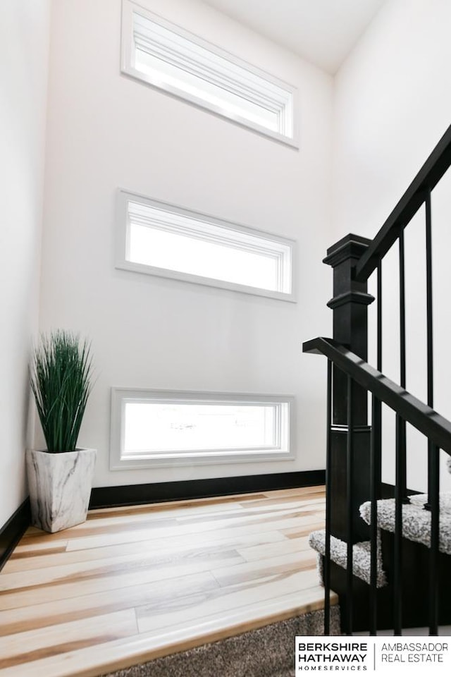 foyer with a high ceiling