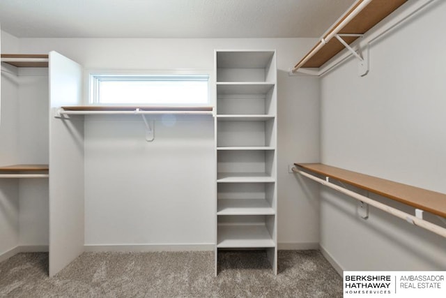 walk in closet with carpet flooring