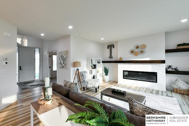 living room featuring wood-type flooring