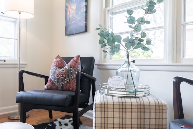 sitting room featuring hardwood / wood-style floors and a wealth of natural light