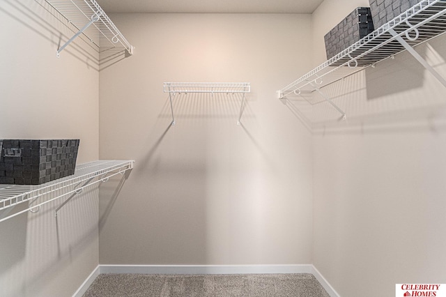 spacious closet featuring carpet floors