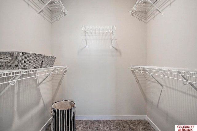 spacious closet with carpet floors