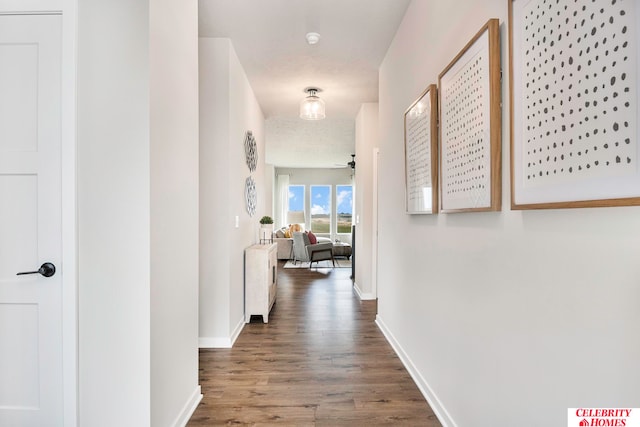 hallway with a textured ceiling and dark hardwood / wood-style flooring