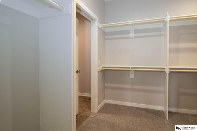 spacious closet with carpet floors