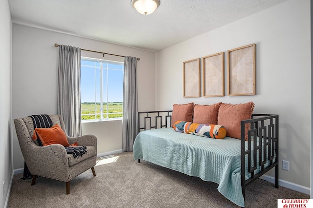 carpeted bedroom with a textured ceiling