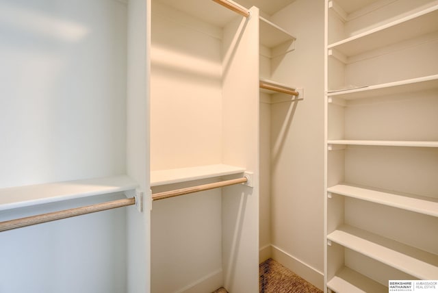 view of walk in closet