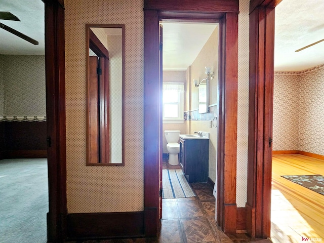 hall featuring dark hardwood / wood-style flooring and sink