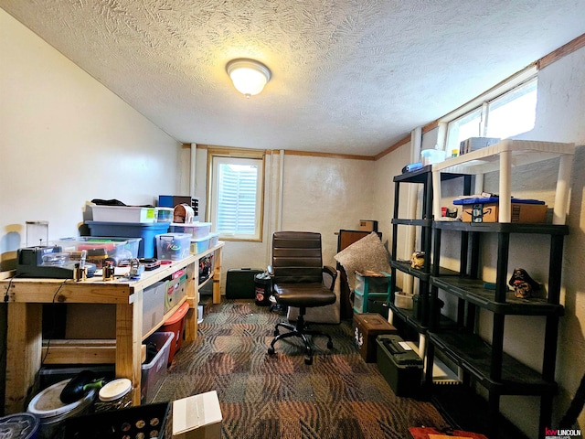 office featuring dark carpet, a textured ceiling, and a healthy amount of sunlight