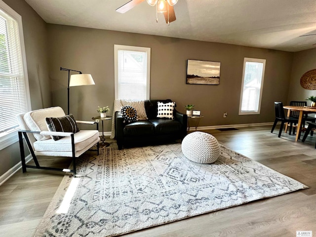 living room with ceiling fan, plenty of natural light, and hardwood / wood-style floors