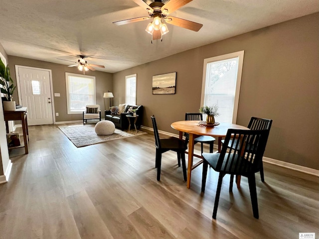 dining space featuring ceiling fan, a textured ceiling, and light wood-type flooring