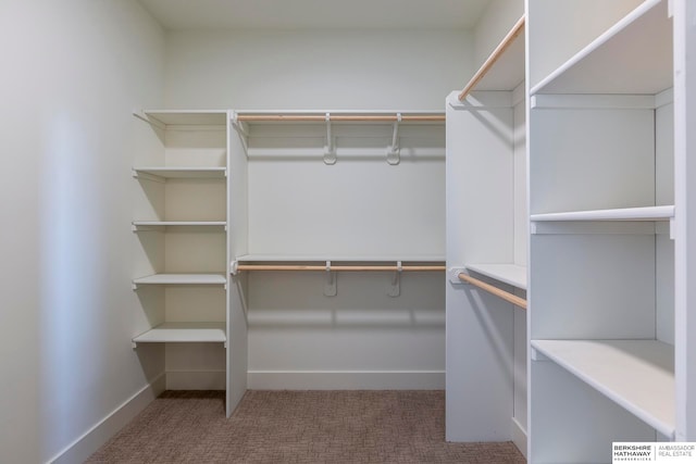 walk in closet featuring carpet