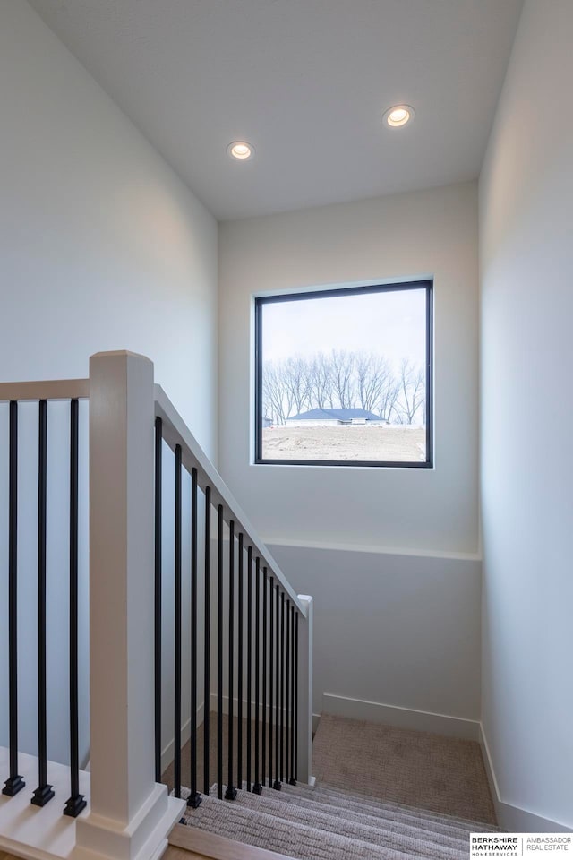 stairway with carpet