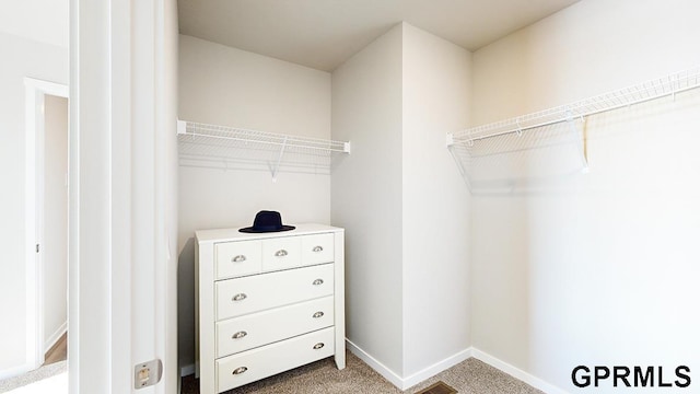 walk in closet with carpet flooring