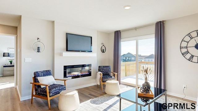 living room featuring hardwood / wood-style floors