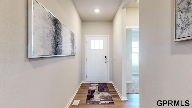 entryway with wood-type flooring