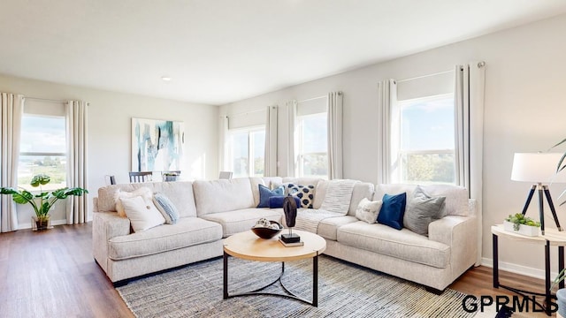 living room with hardwood / wood-style flooring