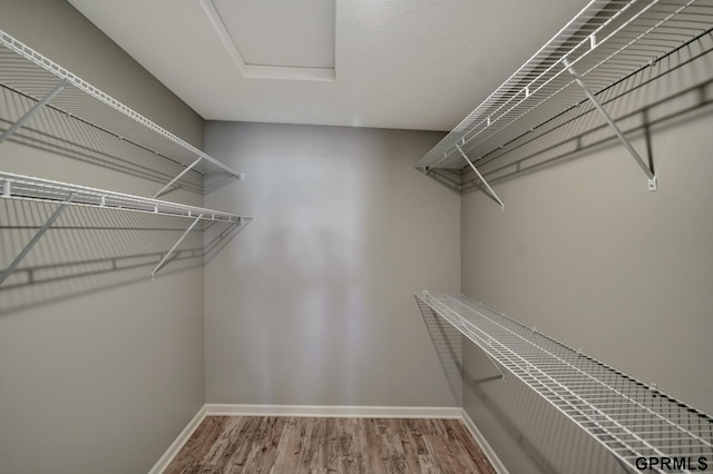 walk in closet with hardwood / wood-style floors