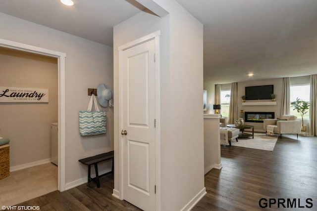 corridor featuring dark hardwood / wood-style flooring