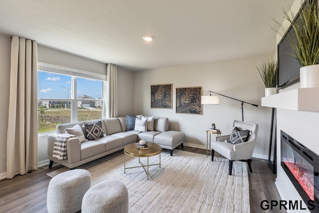 living room with hardwood / wood-style floors