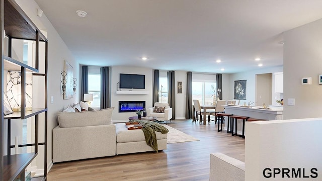 living room with light hardwood / wood-style flooring