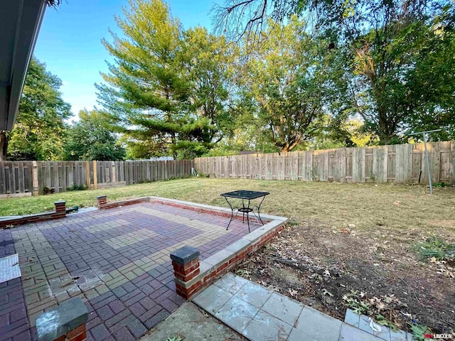 view of yard featuring a patio area