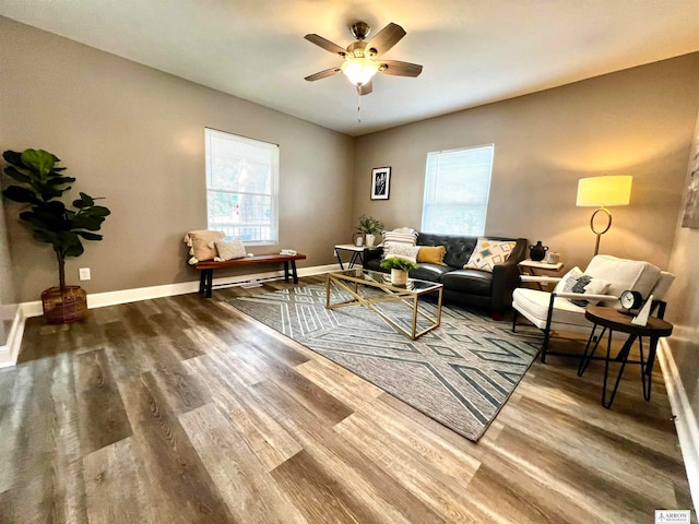 living room with ceiling fan and wood-type flooring